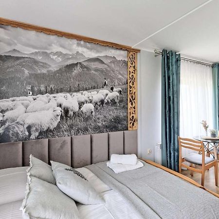 Willa U Baranow Zakopane Esterno foto